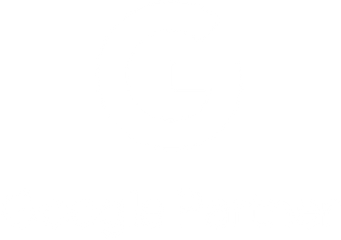 Google Partner