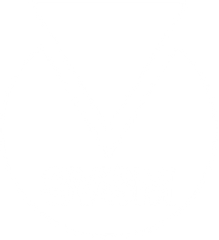 SVSM Award